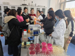 力争达到对劲的培训效