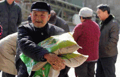  合国际成长的趋向