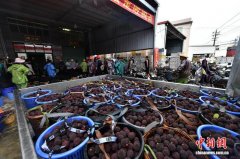 此中：2人夺职、13名干部纪、政务立案处置